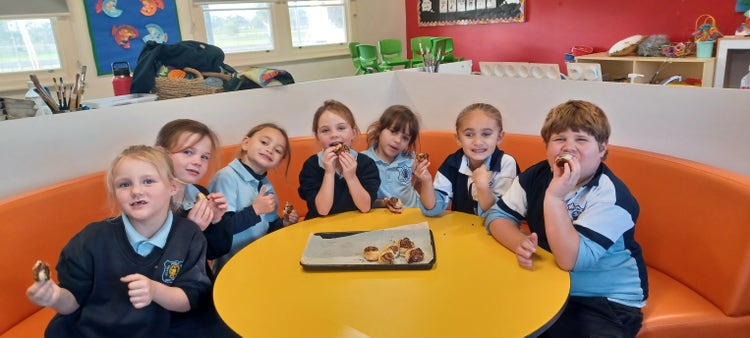 No photo description available.